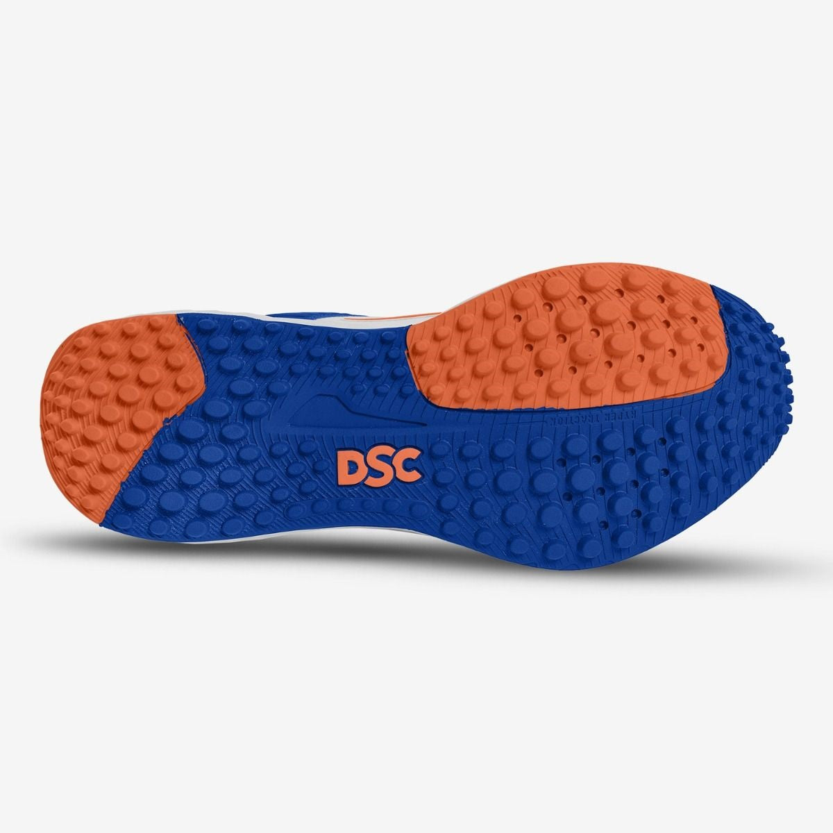DSC Endgame