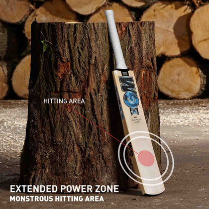 GM Diamond 101 BS55 Kashmir Willow Cricket Bat