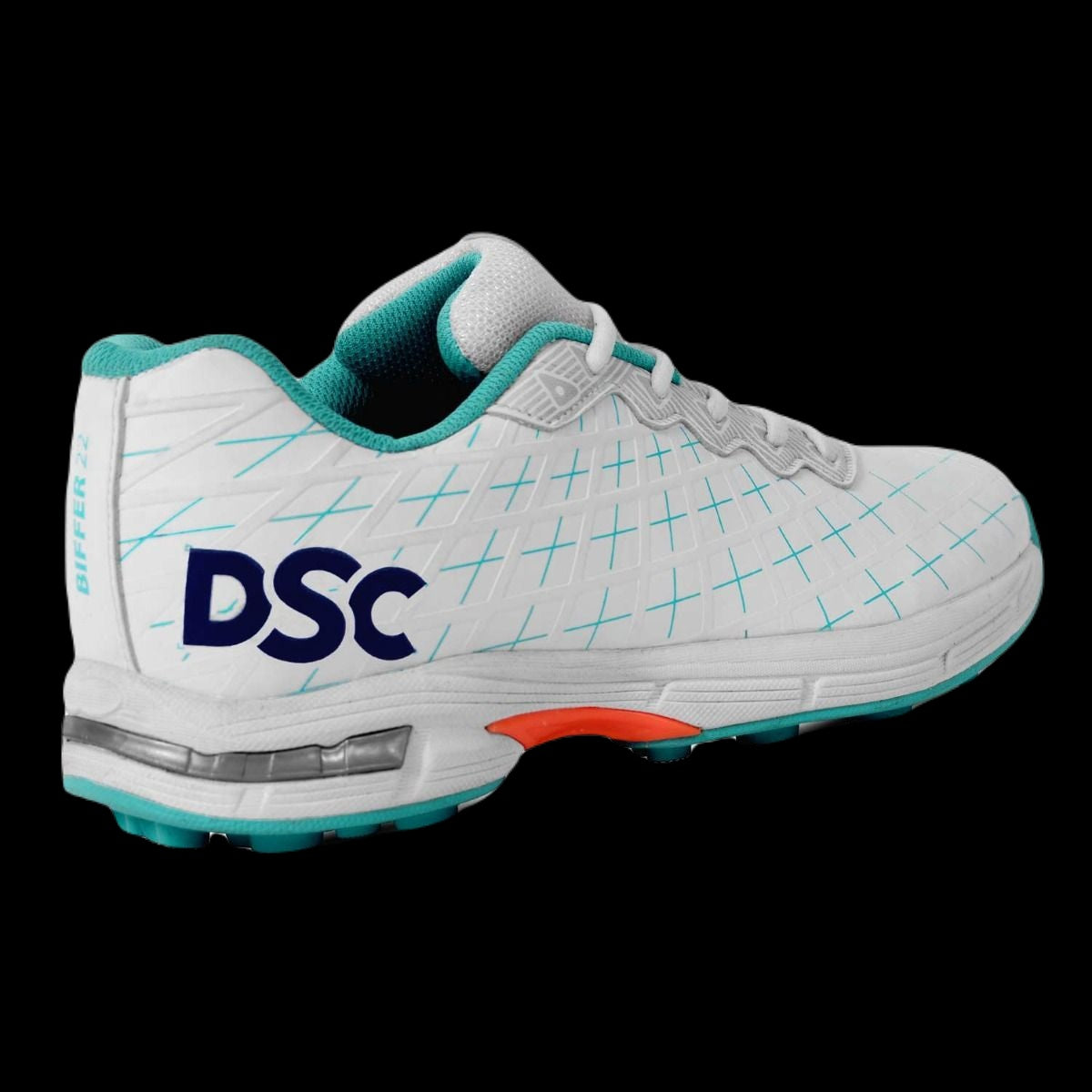 DSC Biffer 22 CY23