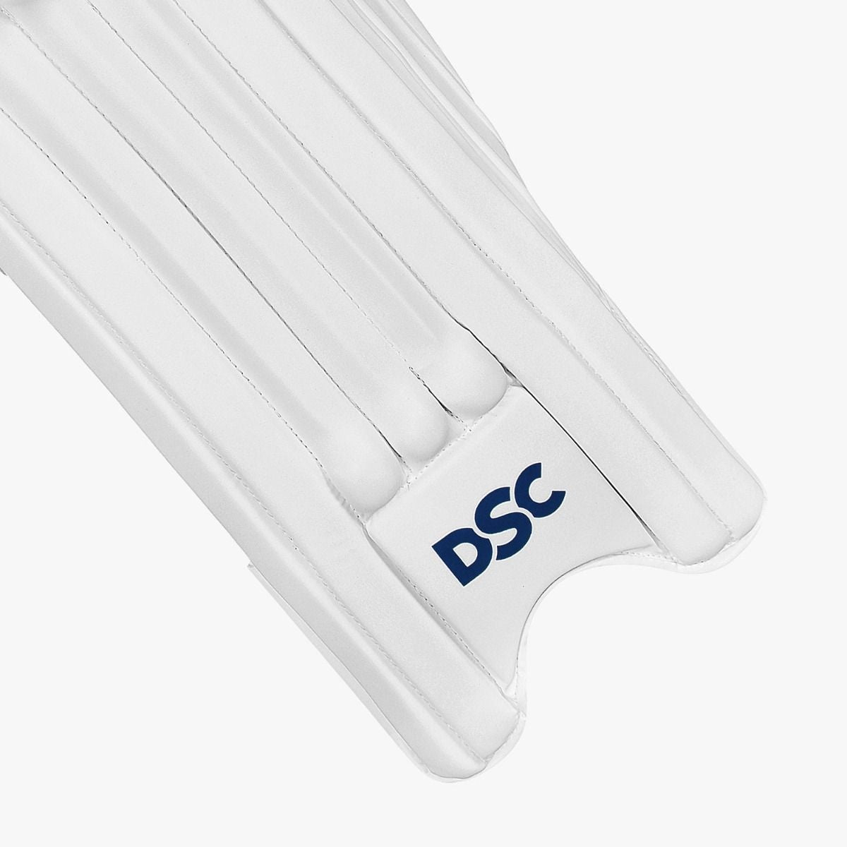 DSC Intense 3000