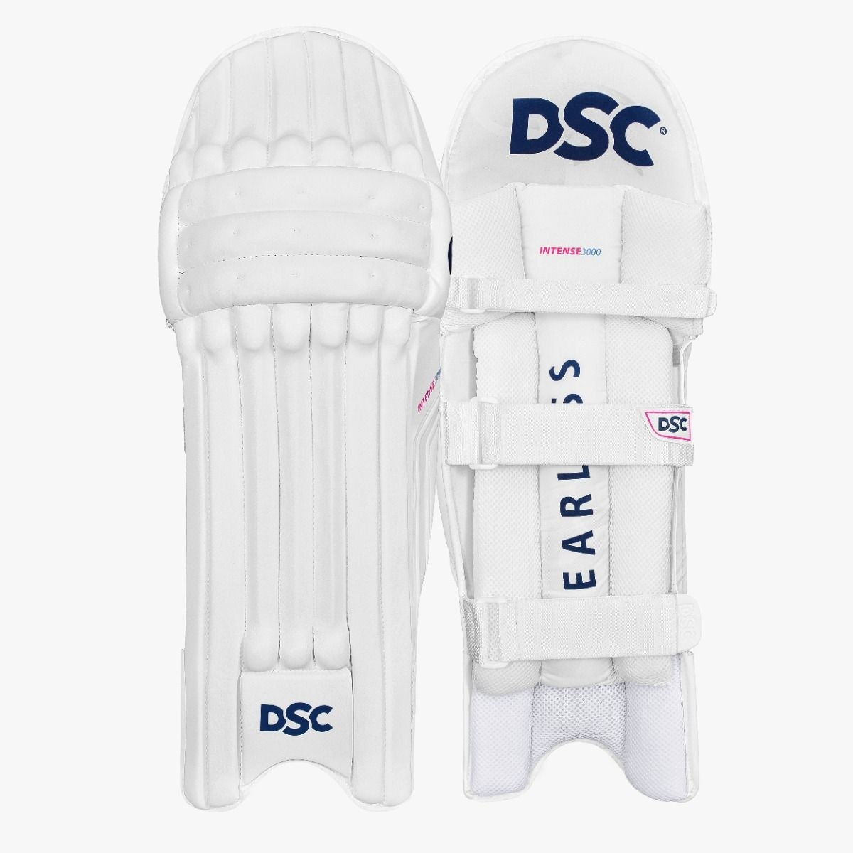 DSC Intense 3000