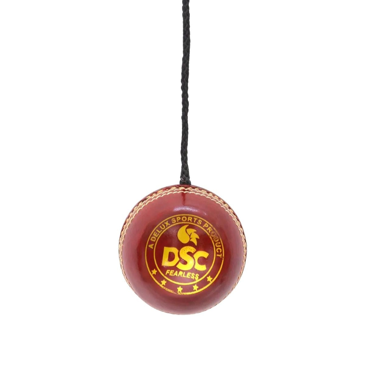 DSC Leather