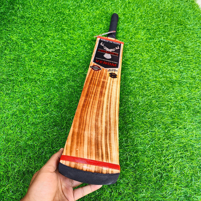 Venom Hard Tennis Burn Edition