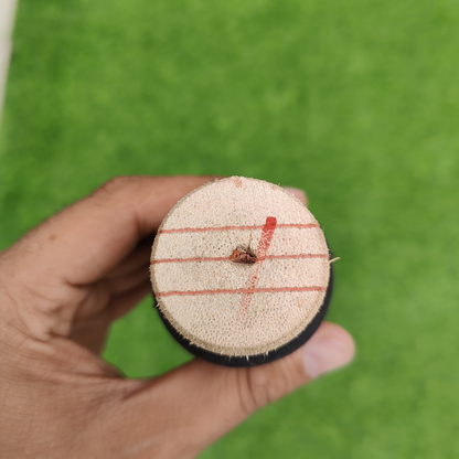 SAKI King Cobra Burn Edition Hard Tennis