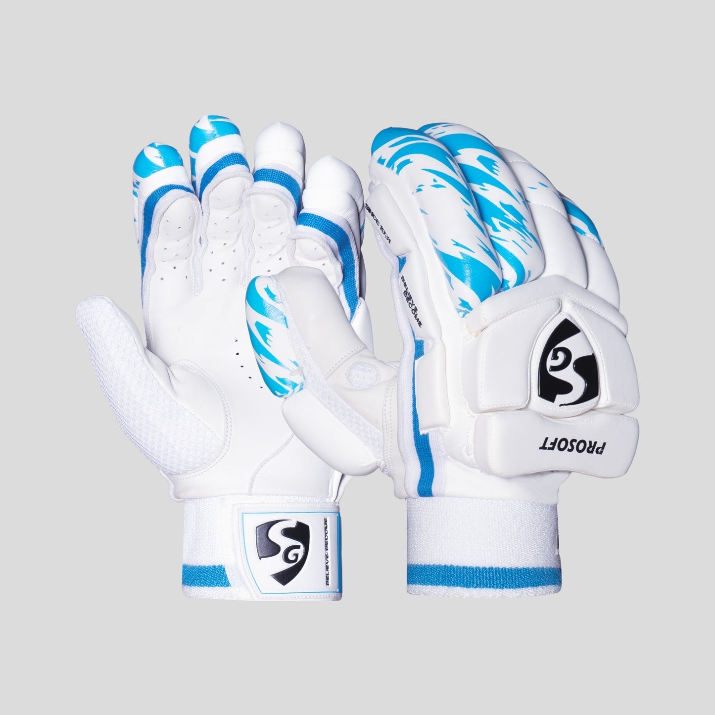 SG Prosoft