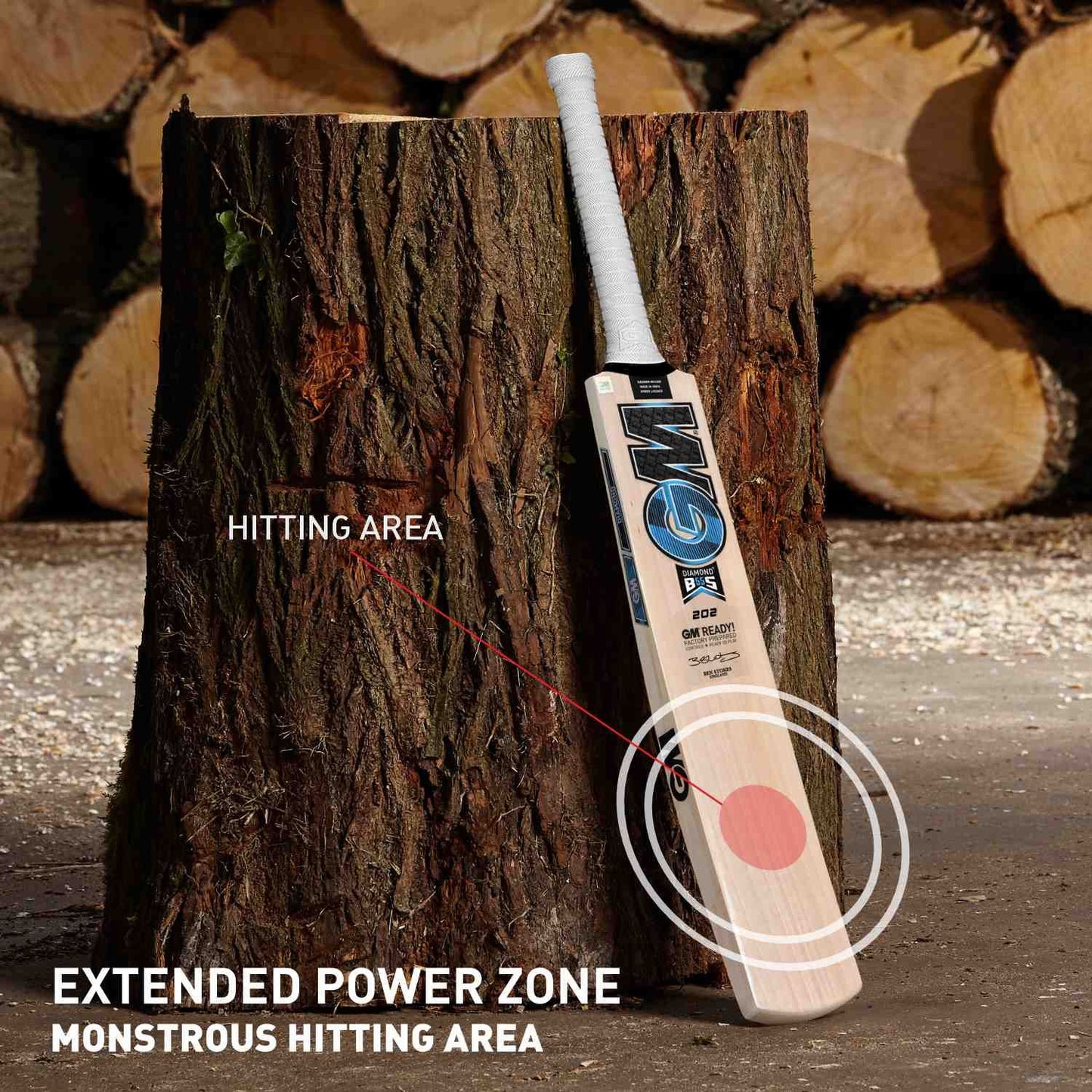 GM Diamond 202 BS55 Kashmir Willow Cricket Bat