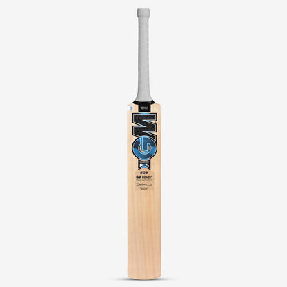 GM Diamond 202 BS55 Kashmir Willow Cricket Bat