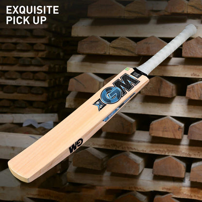 GM Diamond 202 BS55 Kashmir Willow Cricket Bat