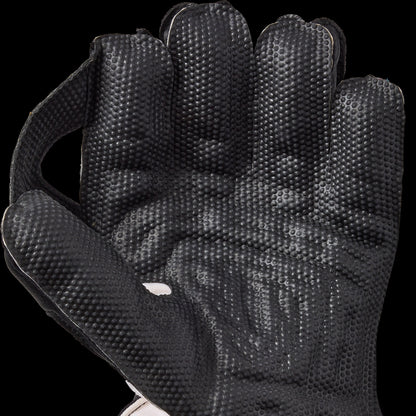 GM Rival Wicket Keeping Gloves