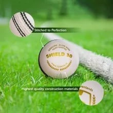 SG Shield 30 White (Pack of 12)